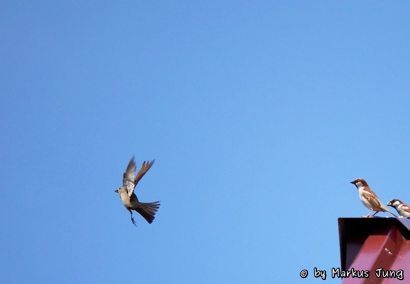 take-off