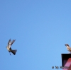 take-off