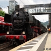 52 8134