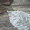 end of life